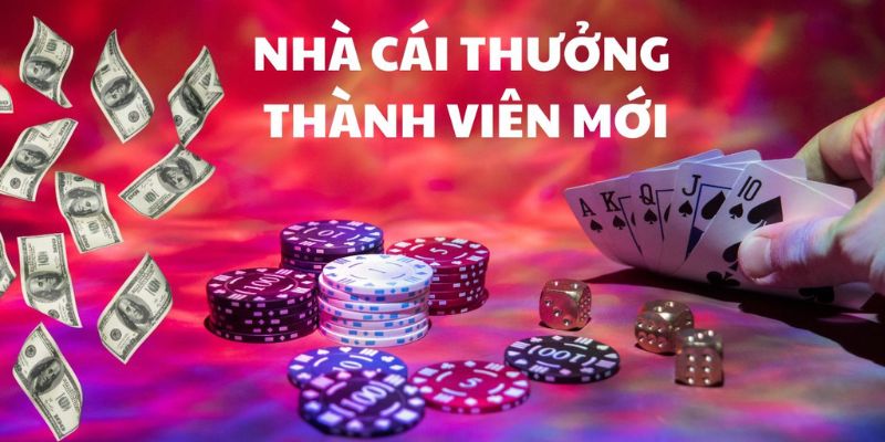 Các màn chào mừng hấp dẫn từ những khuyến mãi được đầu tư 