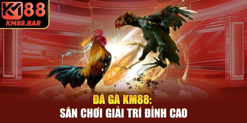 Sảnh đá gà với vô vàn loại hình cược